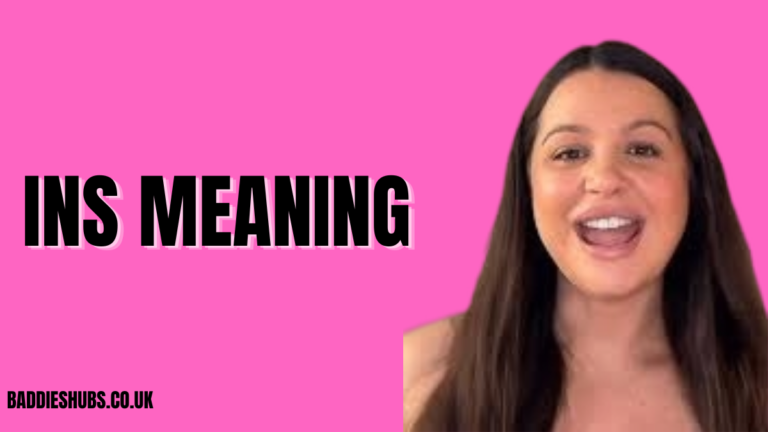 Ins Meaning
